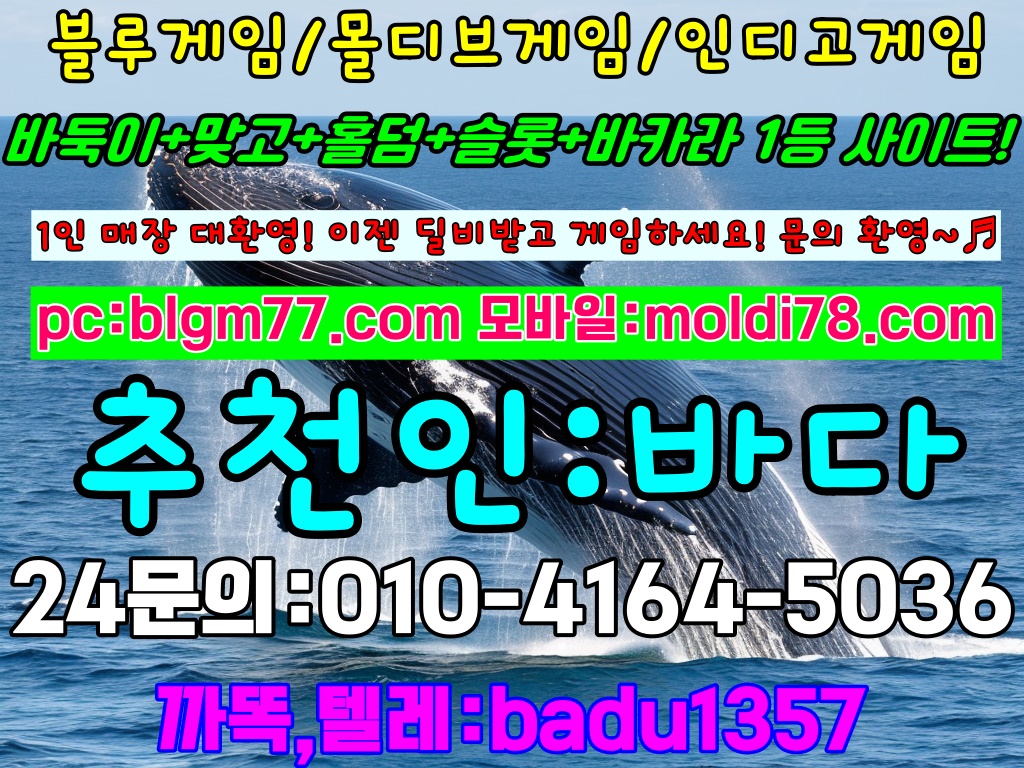 바둑이사이트